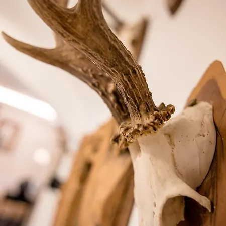 Altstadt Luxury Design דירה *